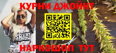 гидра Волгодонск