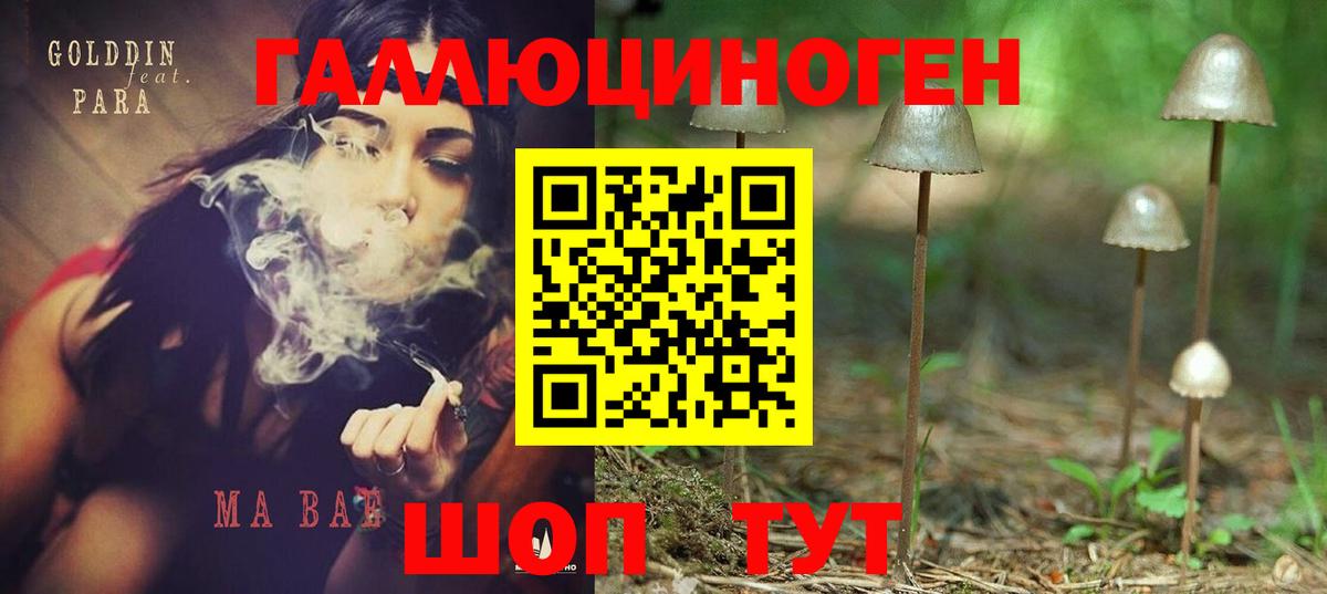 Галлюциногенные грибы MAGIC MUSHROOMS Костомукша